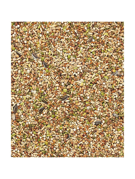 Country's Best Garden Mix - 1kg