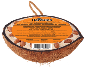 Halv kokosnød med jordnødde-topping