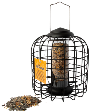 Hercules fuglefoderautomat til frø i sort metal med beskyttelsesgitter
