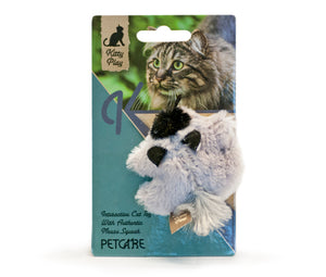 Kitty play squeaking racoon