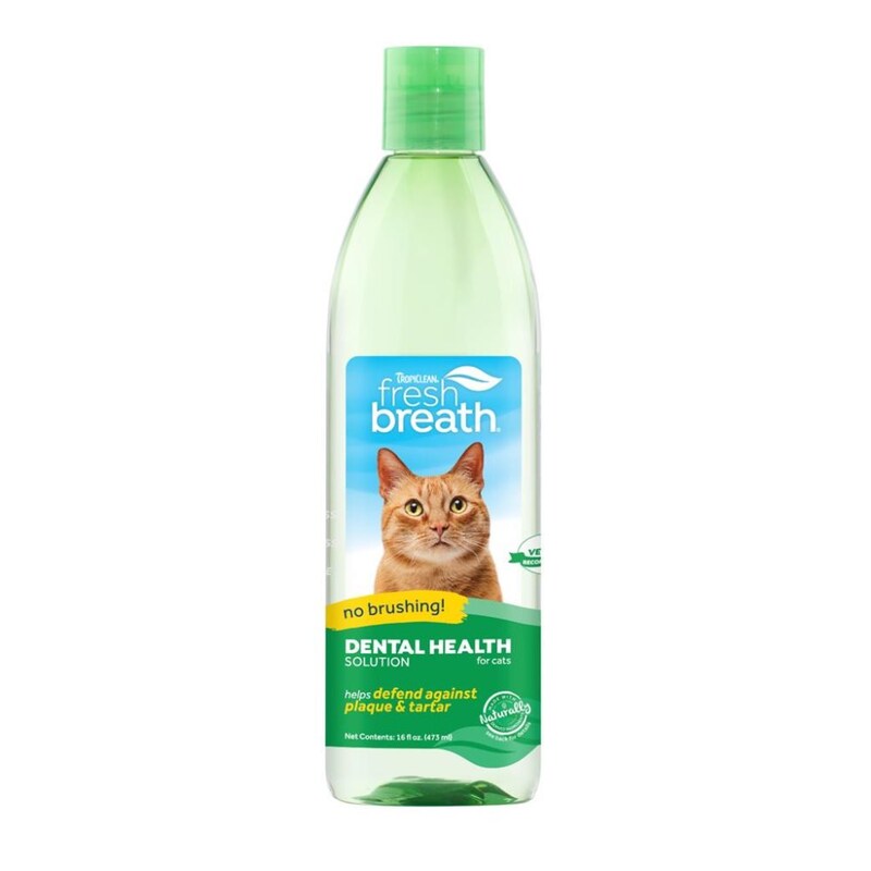 Oral care water additive for cats