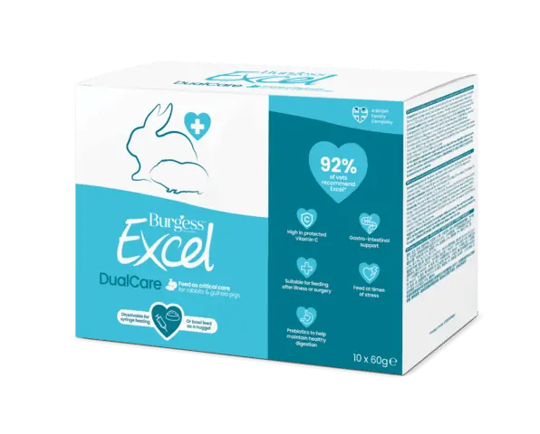ExcelDualCare10PCS
