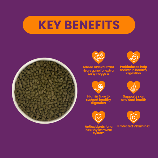 Excel marsvin foder solbær og oregano - 10kg