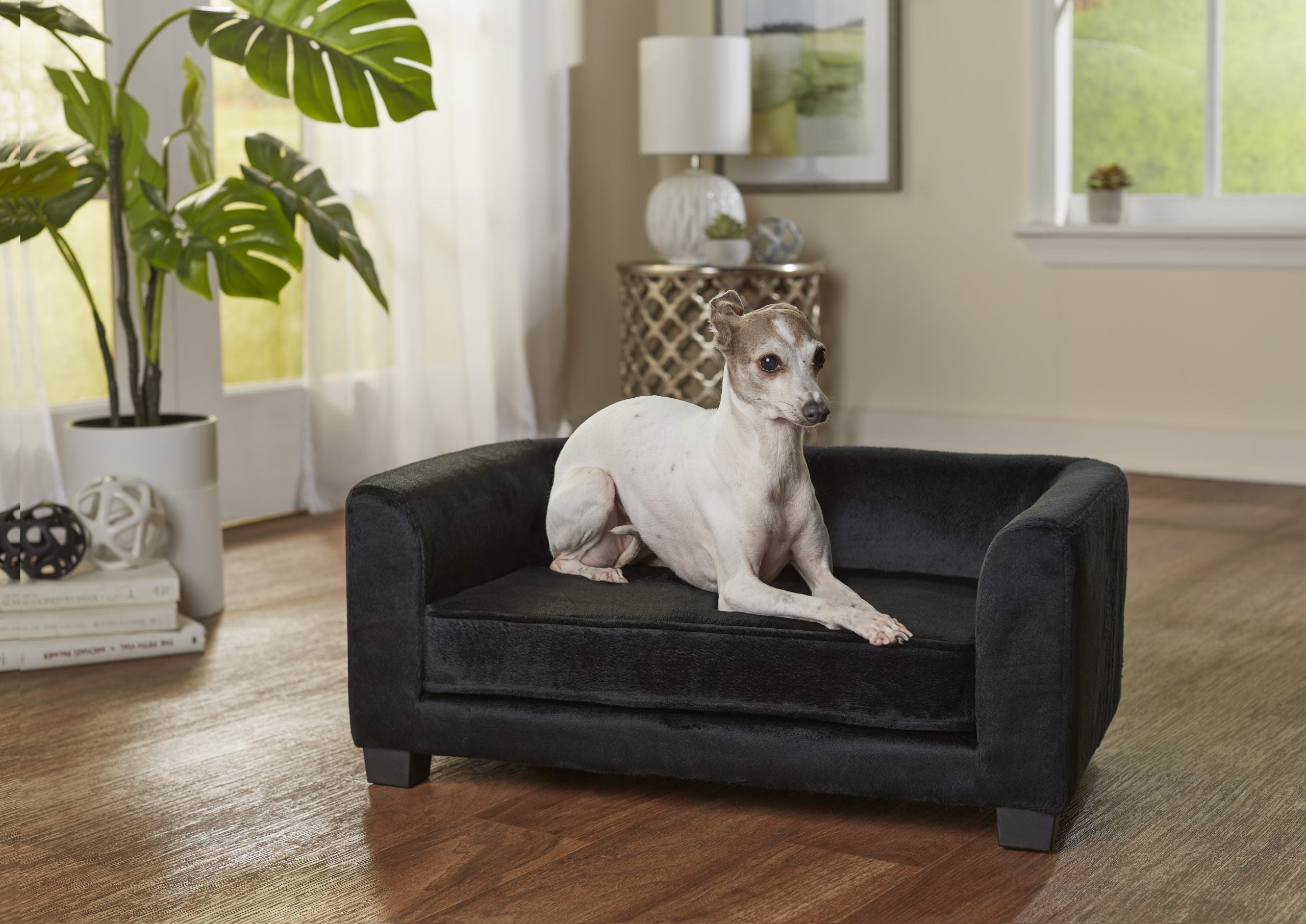 Surrey hundesofa - Sort