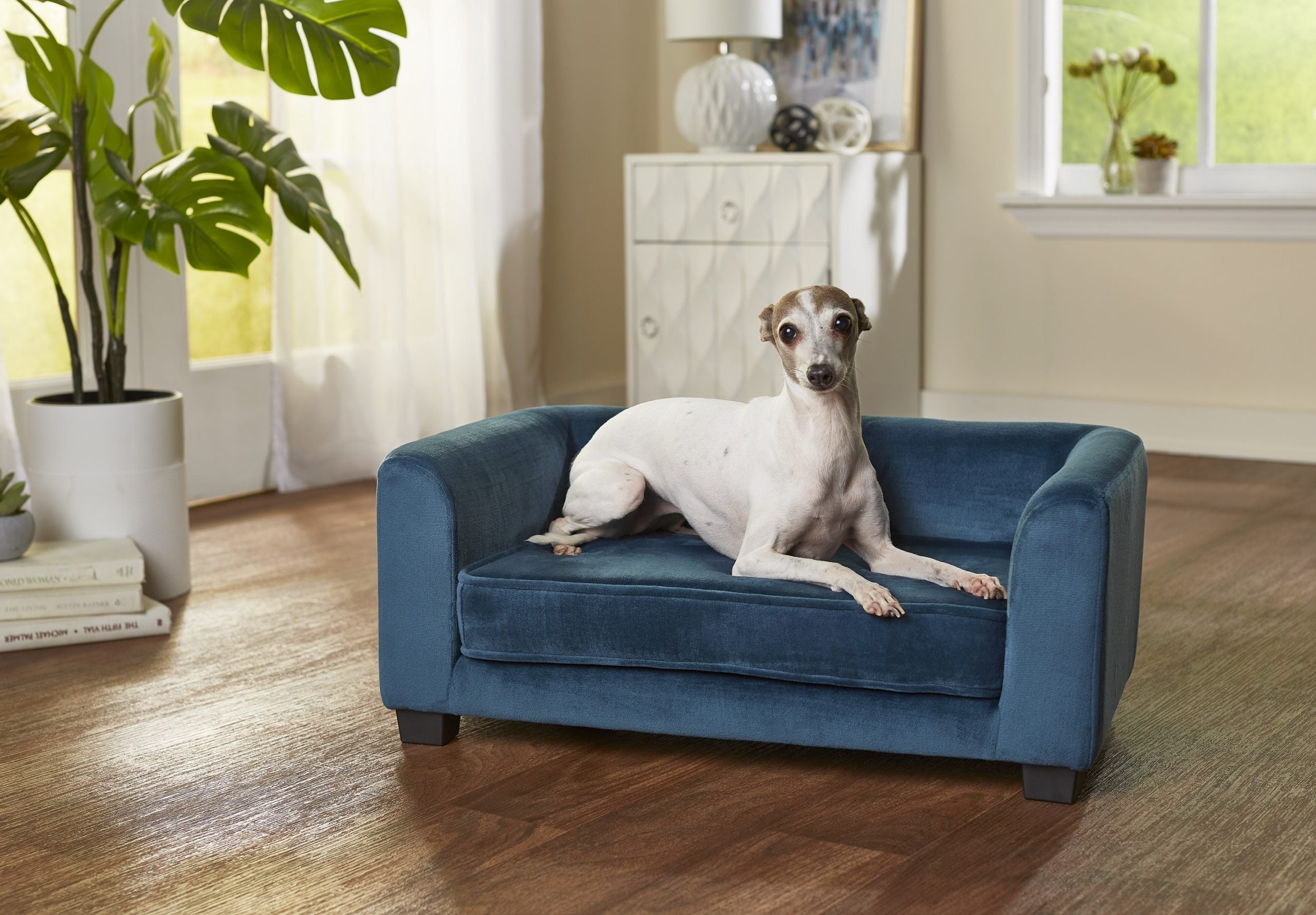 Surrey hundesofa - Peacock