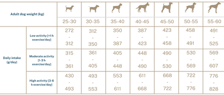 Super premium hundefoder -  kornfri store racer Adult med and