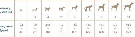 Super premium hundefoder -  kornfri små racer Adult, lam MONOPROTEIN