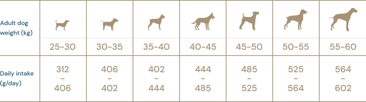 Super premium hundefoder -  store racer Maxi Adult, Extra kylling