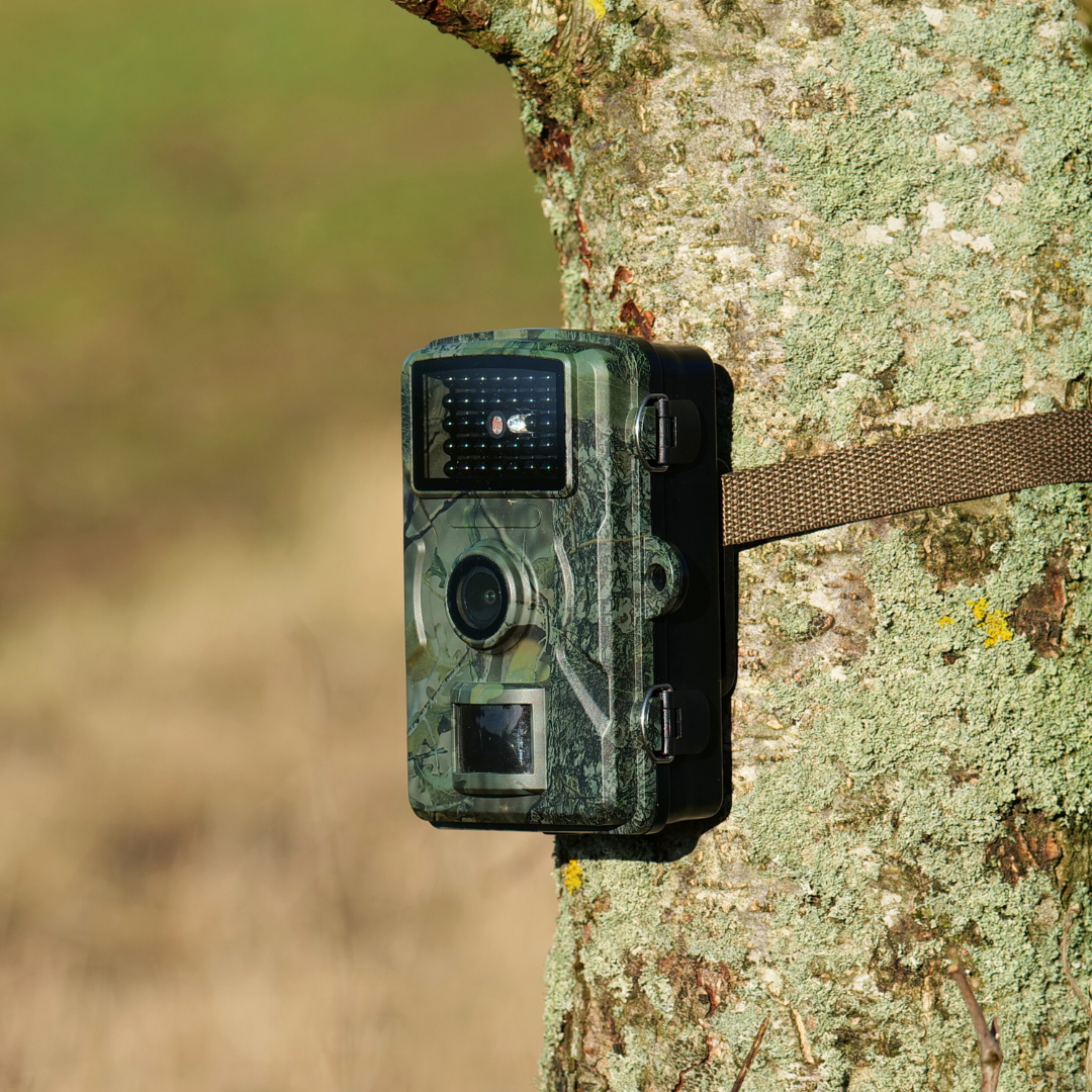 16MP Vildtkamera