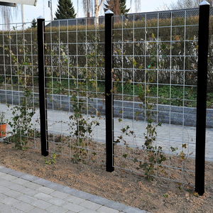 3 fag Rio-net espalier galvaniseret 90 x 120 cm inkl. beslag inkl. 4 sortmalet stolper 240 cm
