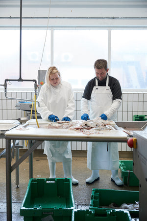 Forklæde i kraftig PU kvalitet - Royal Blå