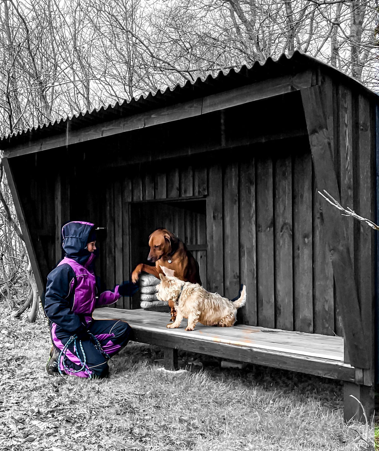 Vinterkedeldragt i slidstærk kvalitet til kvinder - Lilla/Sort