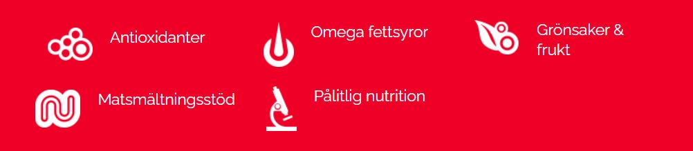 Naturals hundefoder - Til voksne hunde med lam og ris