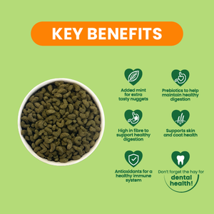 Excel Guinea Pig 3 kg