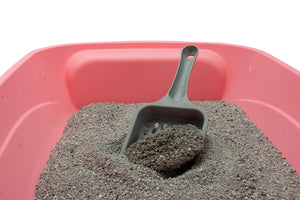 Clever Cat kattegrus lavendel 10 L