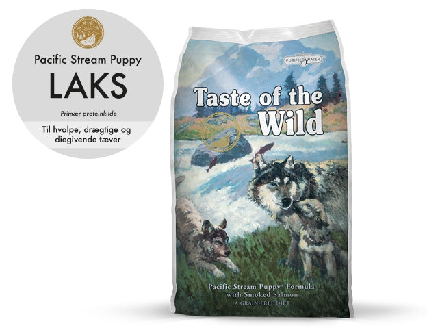 Pacific Stream Puppy, Salmon