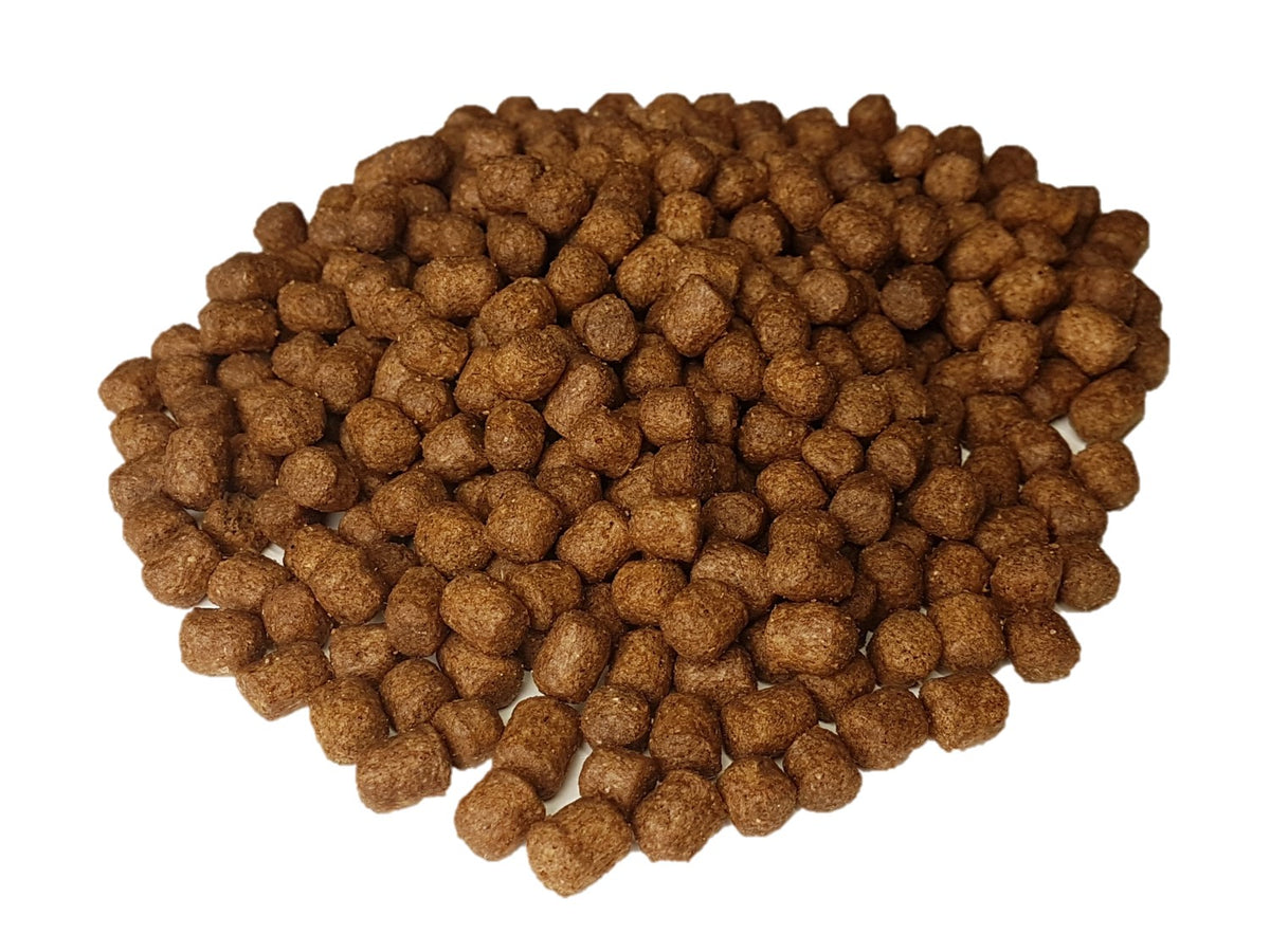 Super Premium hundefoder - Puppy, hvalpe