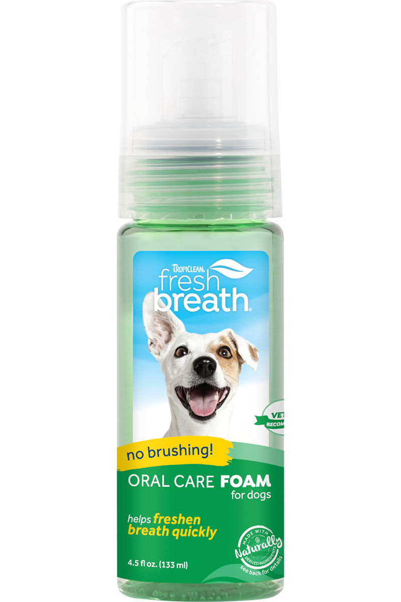 Oralcare foam