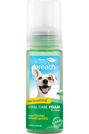 Oralcare foam