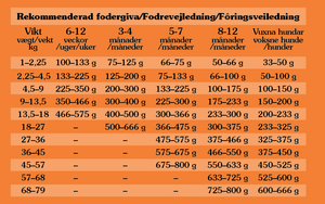 High Prairie Puppy, Bison