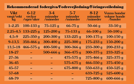 High Prairie Puppy, Bison