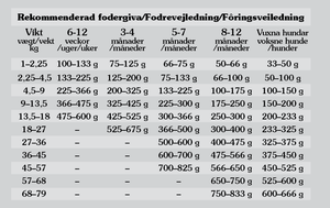 Pacific Stream Puppy, Salmon