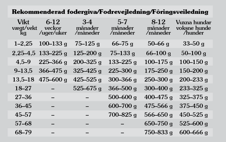Pacific Stream Puppy, Salmon