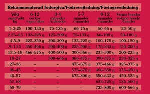 Southwest Canyon, Wild Boar